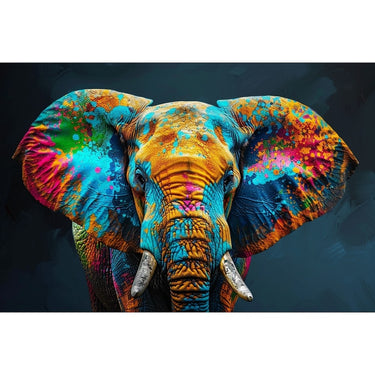 Colourful Elephant Canvas